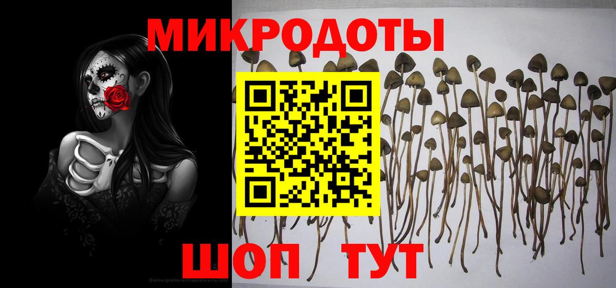 как найти закладки  Галлюциногенные грибы MAGIC MUSHROOMS  Галлюциногенные грибы прущие грибы  Вход с VPN  Заводоуковск 