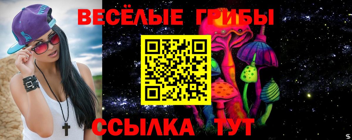 Псилоцибиновые грибы Psilocybine cubensis Заводоуковск
